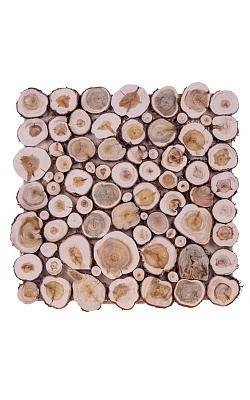  ����� �� ������������� (300�� � 300��) ��� �������� 